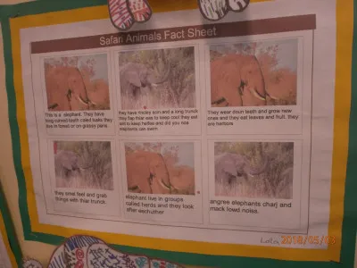 Gallery - created at 2021-03-03 09:06:40 - image 7