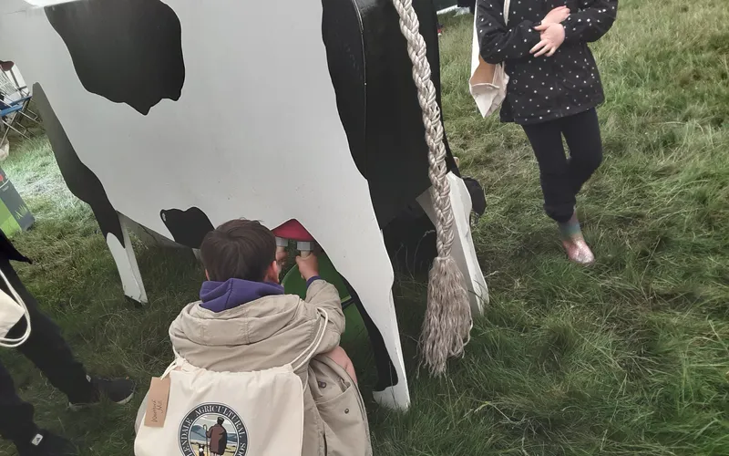 Gallery - created at 2025-06-06 10:40:13 - image 14 Gallery - created at 2025-06-06 10:40:13 - image 14