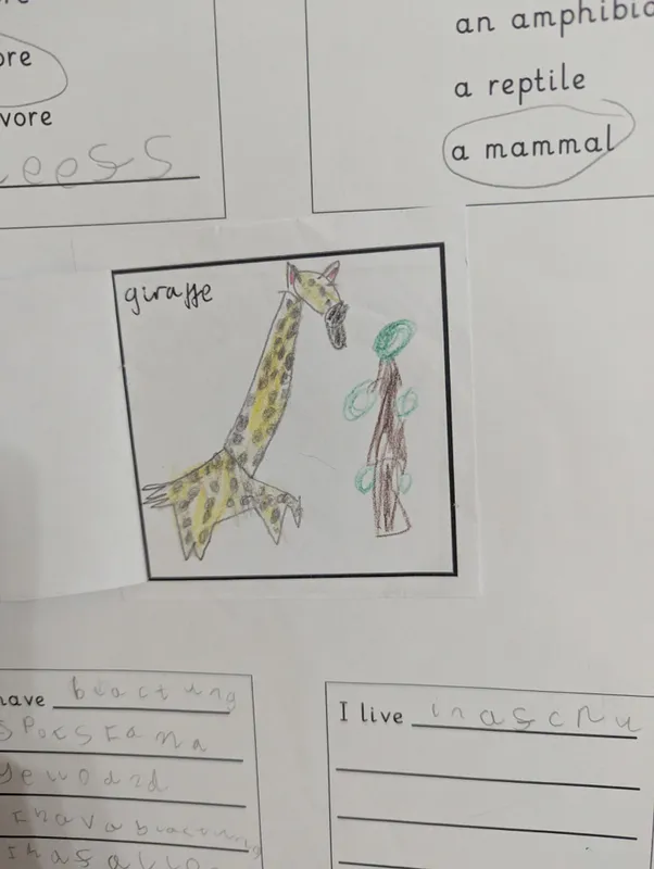 What animal am I? - image 7