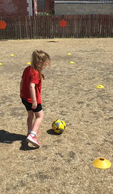 P.E.