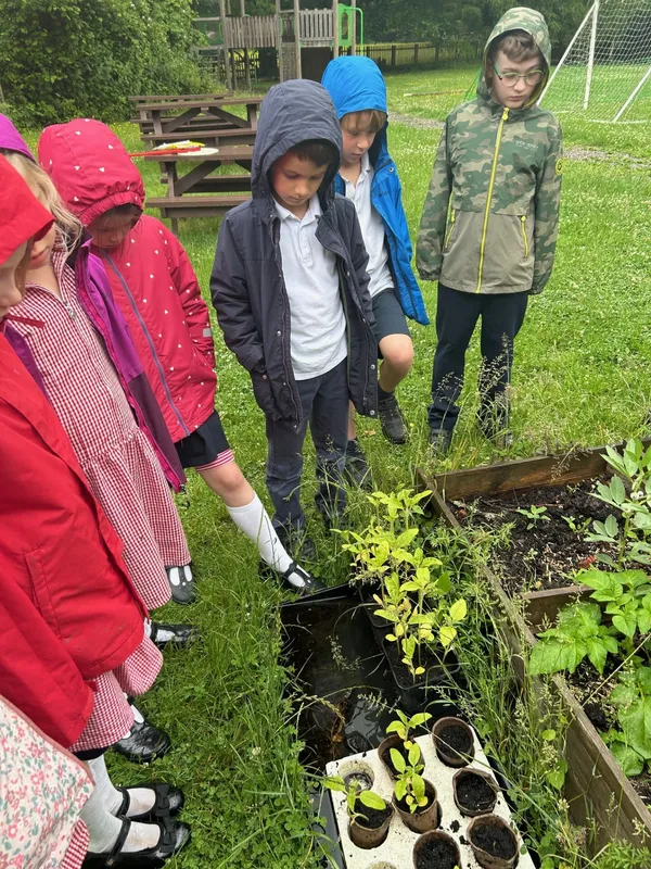 Gallery - created at 2025-06-06 11:32:24 - image 4