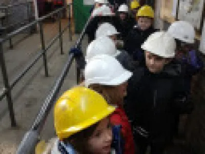 Gallery - created at 2021-03-03 09:20:57 - image 6