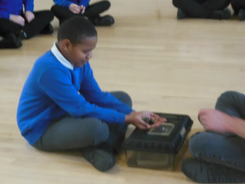 Y6 Reptile Rendezvous - image 14