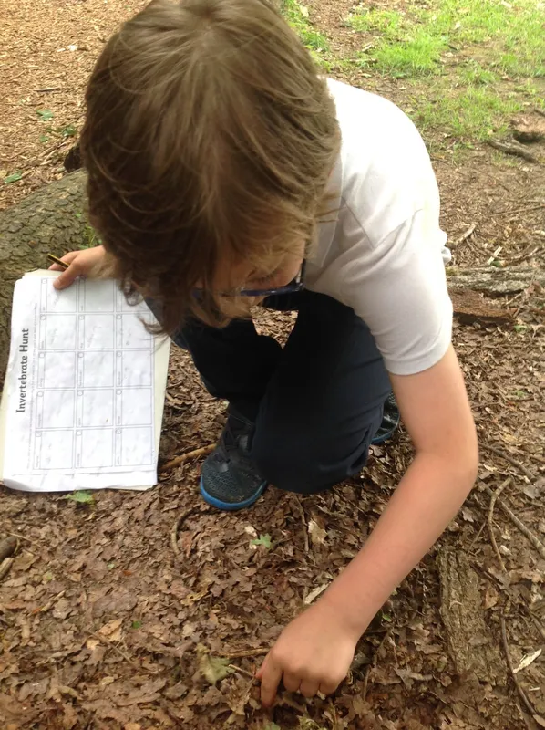 Gallery - created at 2023-07-07 15:55:26 - image 5 Gallery - created at 2023-07-07 15:55:26 - image 5