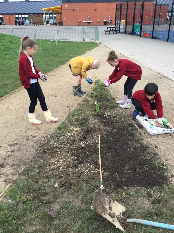 Gallery - created at 2024-09-23 11:53:17 - image 14