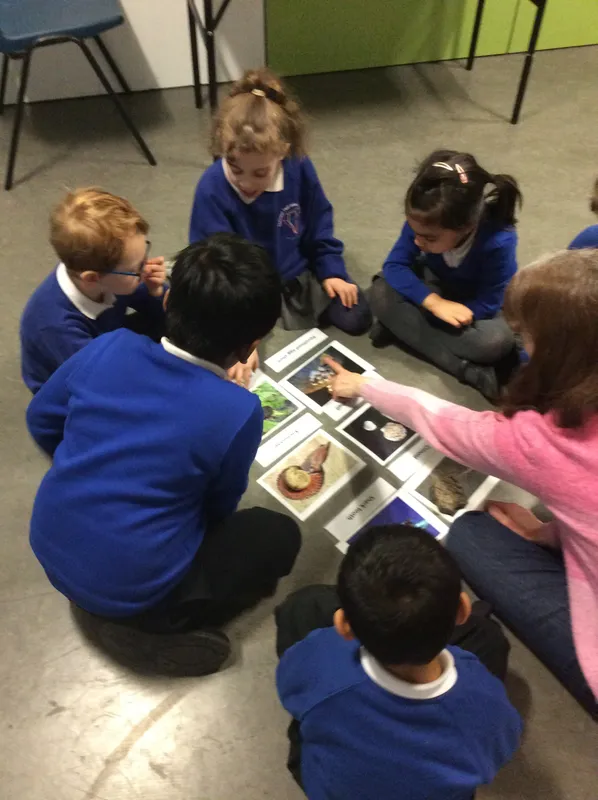 Gallery - created at 2024-02-09 11:53:37 - image 10