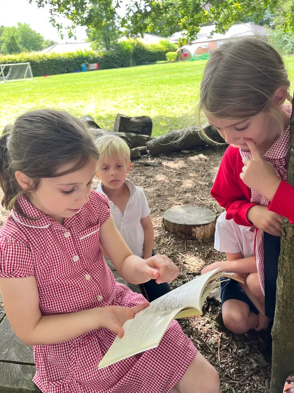 Gallery - created at 2023-07-26 14:43:43 - image 2