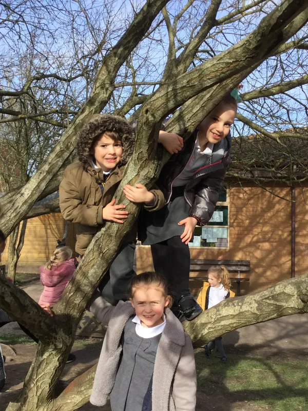 Gallery - created at 2020-02-19 15:39:40 - image 3