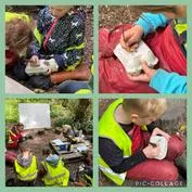 Forest School 8 - image 2 Forest School 8 - image 2