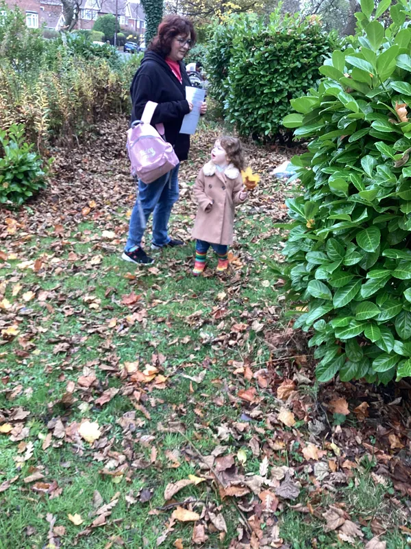 Gallery - created at 2024-11-08 10:10:59 - image 41 Gallery - created at 2024-11-08 10:10:59 - image 41