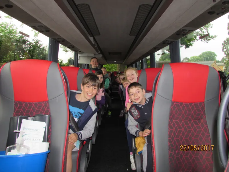 Gallery - image 13