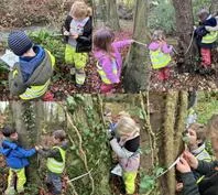 Forest School 85 - image 3 Forest School 85 - image 3