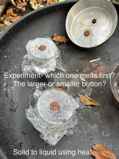 Autumn 2023 - 22nd November - Saplings - Matter - image 2 Autumn 2023 - 22nd November - Saplings - Matter - image 2