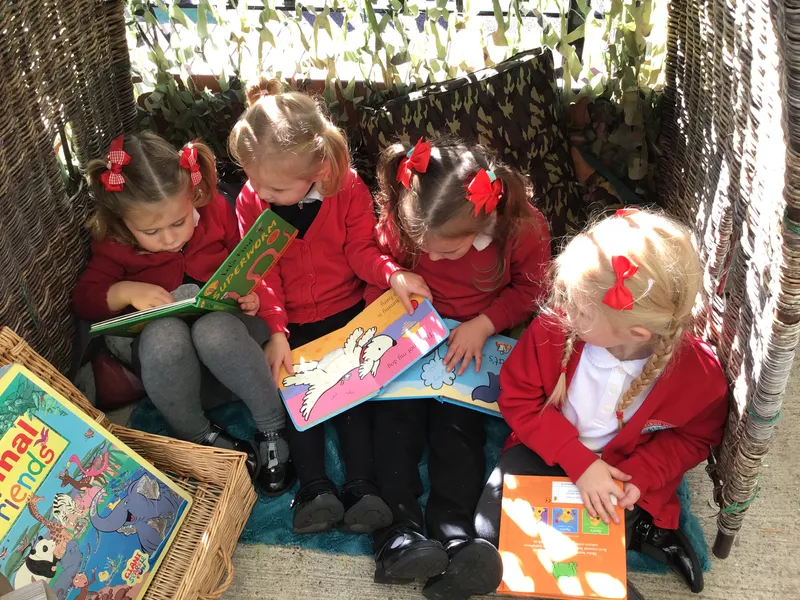 Outdoor - image 4 Outdoor - image 4