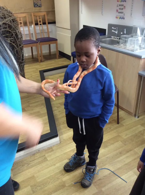 Gallery - created at 2024-02-26 17:15:57 - image 87 Gallery - created at 2024-02-26 17:15:57 - image 87