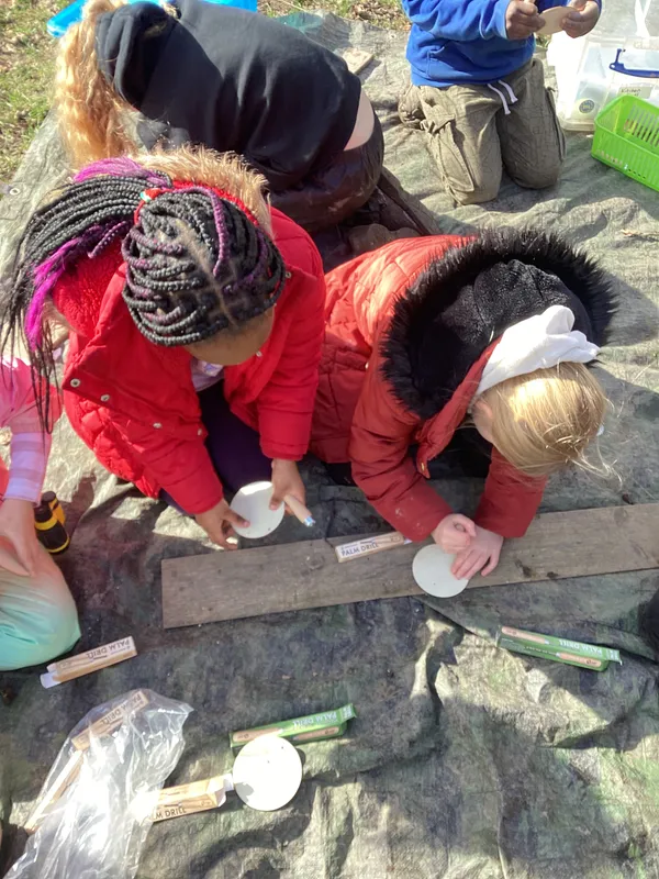 Palm Drills - image 4