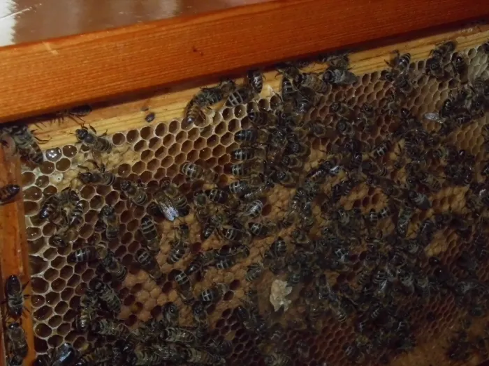 Gallery - created at 2018-07-14 14:56:19 - image 22 Gallery - created at 2018-07-14 14:56:19 - image 22