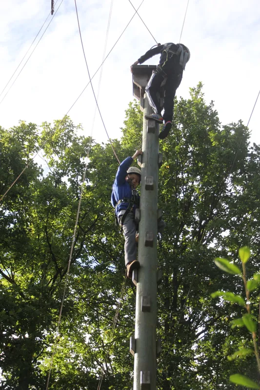 Gallery - created at 2018-10-23 12:06:09 - image 8