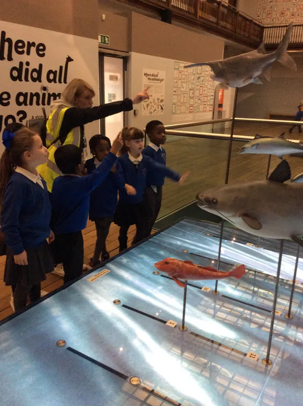 Gallery - created at 2024-02-09 11:53:37 - image 51