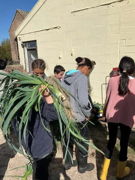 Farm 2025 - Gallery 3 - image 33