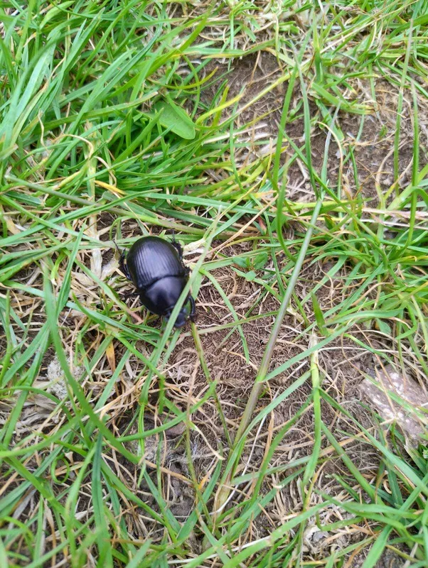 Gallery - created at 2025-06-06 10:37:45 - image 2 Gallery - created at 2025-06-06 10:37:45 - image 2