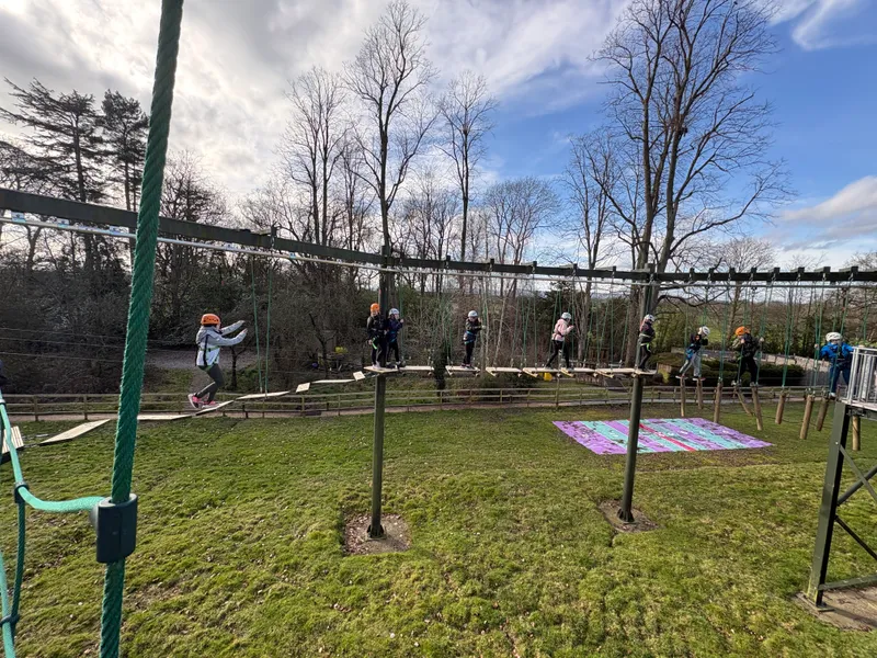 Spring Group 3 - image 32