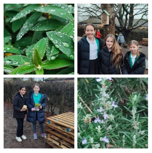 Green School Project, Nature Photography Competition