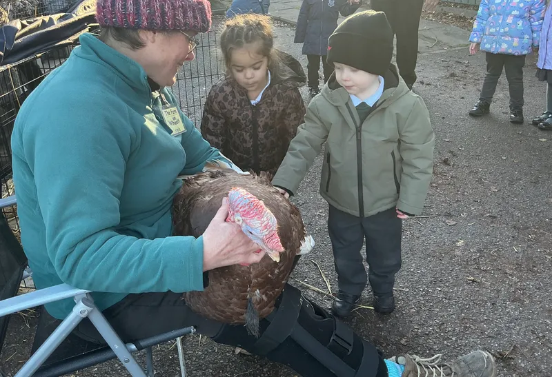 Stella farm on wheels Part 1 - image 42