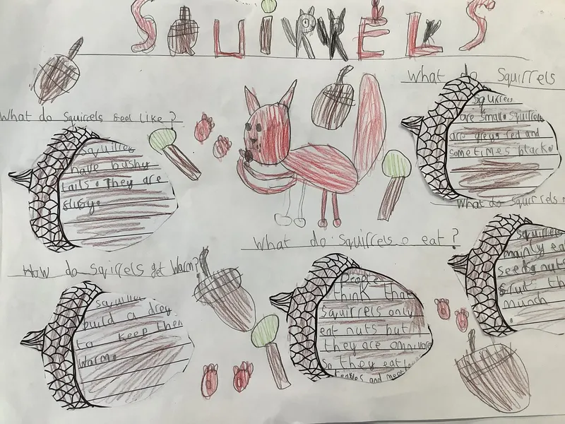 Gallery - image 1 Gallery - image 1