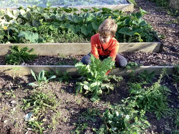 Farm Trip - Gallery 4 - image 3