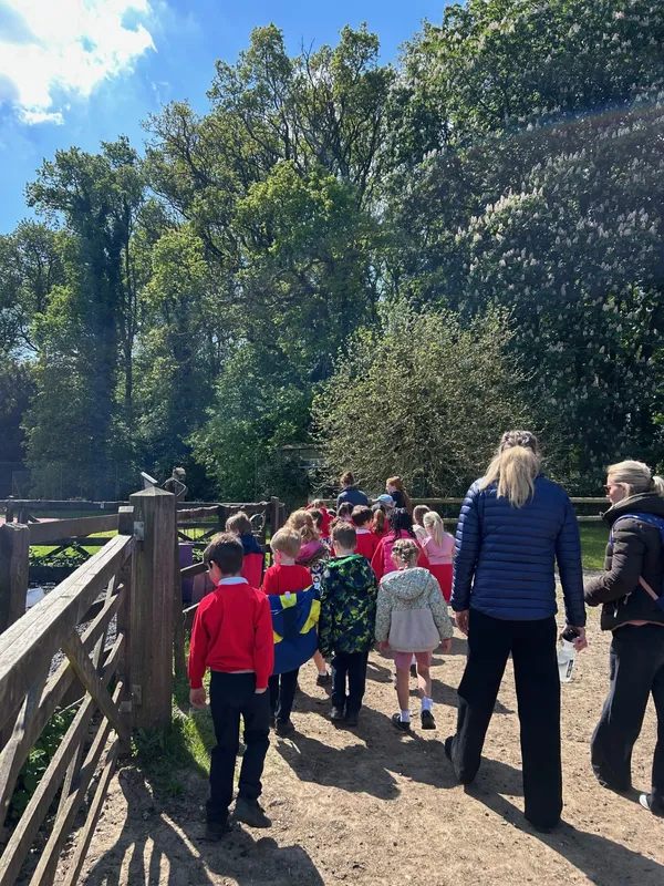 Week 4 - image 12