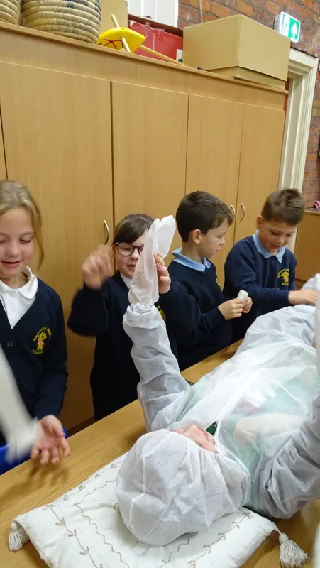 Swallows enjoying their trip to Hull's Museum Quarter - image 9 Swallows enjoying their trip to Hull's Museum Quarter - image 9