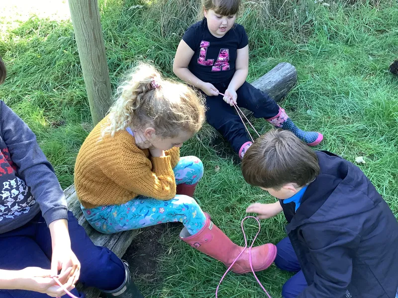 Swallows enjoying their first Forest School session - image 3 Swallows enjoying their first Forest School session - image 3