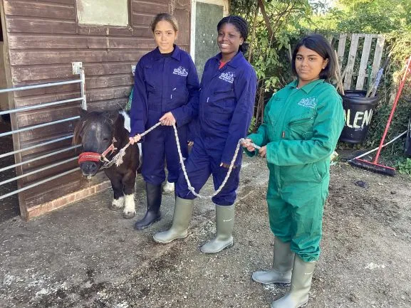 Farm Trip 25 - Gallery 2 - image 34