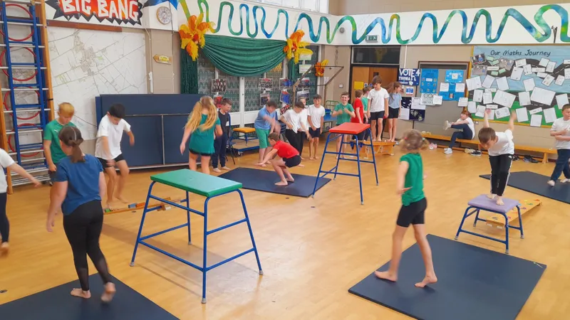 PE - Gymnastics - image 4 PE - Gymnastics - image 4