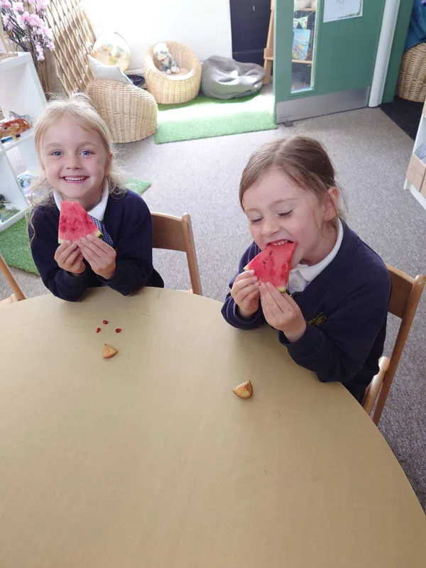 The Very Hungry Caterpillar Fruit Tasting - image 13 The Very Hungry Caterpillar Fruit Tasting - image 13
