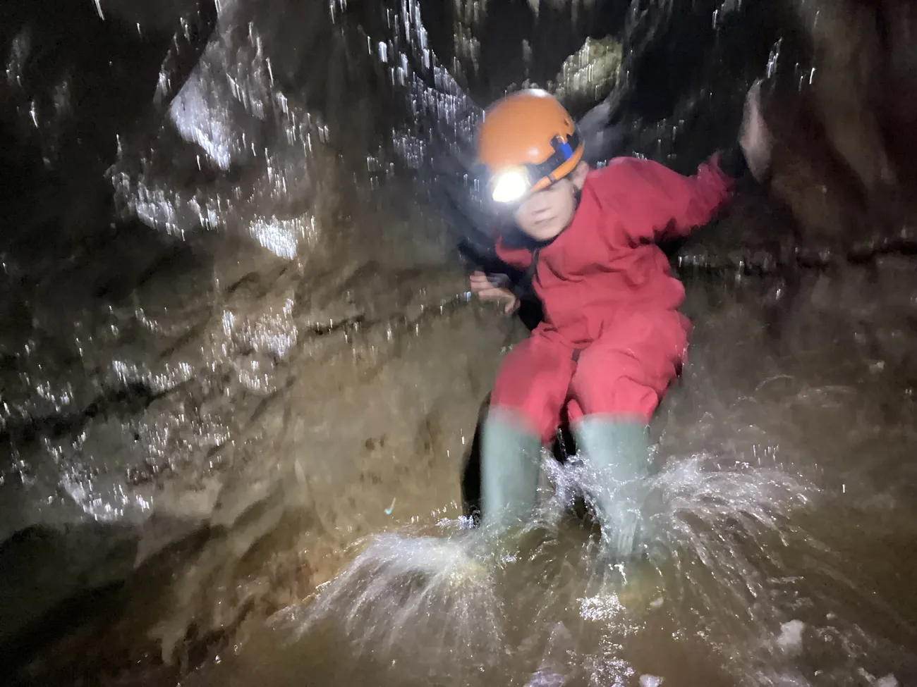 Gallery - created at 2024-09-19 19:43:35 - image 6 Gallery - created at 2024-09-19 19:43:35 - image 6