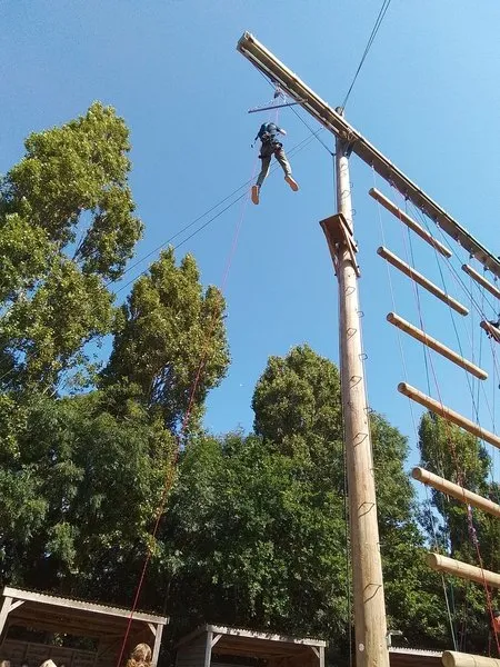 Group 1 - Trapeze - image 39