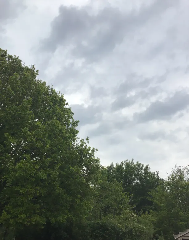 Gallery - created at 2022-12-06 11:29:49 - image 8