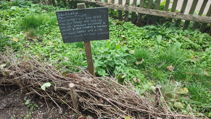 Ecowarriors - image 7 Ecowarriors - image 7