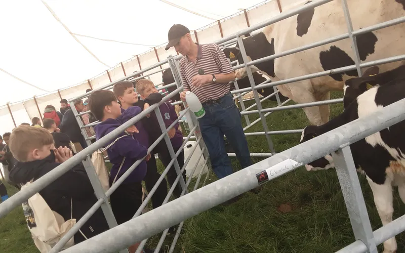 Gallery - created at 2025-06-06 10:40:13 - image 2 Gallery - created at 2025-06-06 10:40:13 - image 2