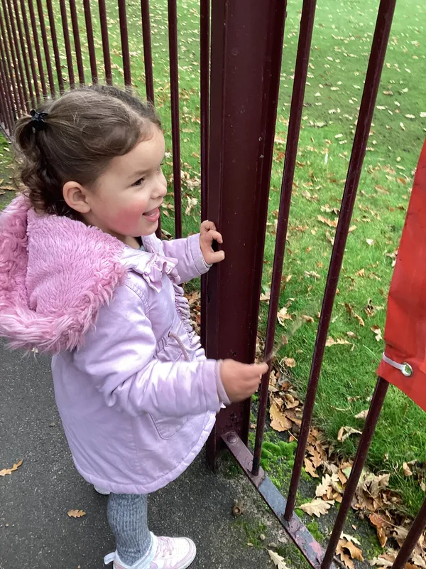 Gallery - created at 2024-11-05 15:27:50 - image 9 Gallery - created at 2024-11-05 15:27:50 - image 9