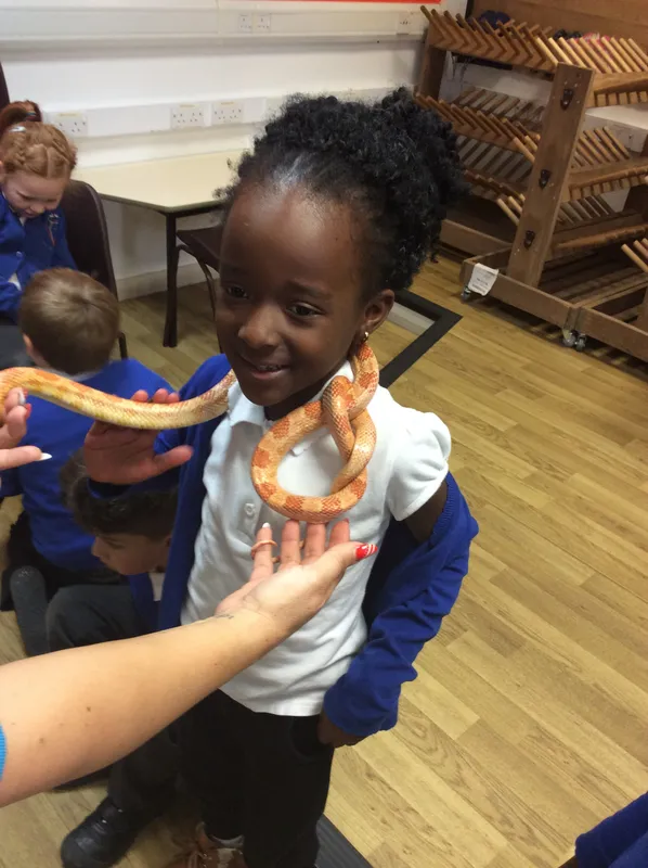 Gallery - created at 2024-03-05 13:52:56 - image 3 Gallery - created at 2024-03-05 13:52:56 - image 3