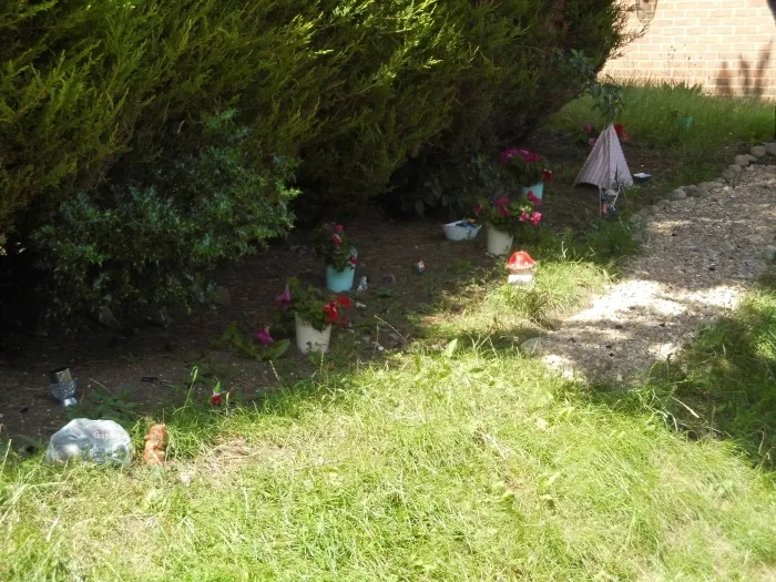Gallery - created at 2018-07-13 19:39:20 - image 1