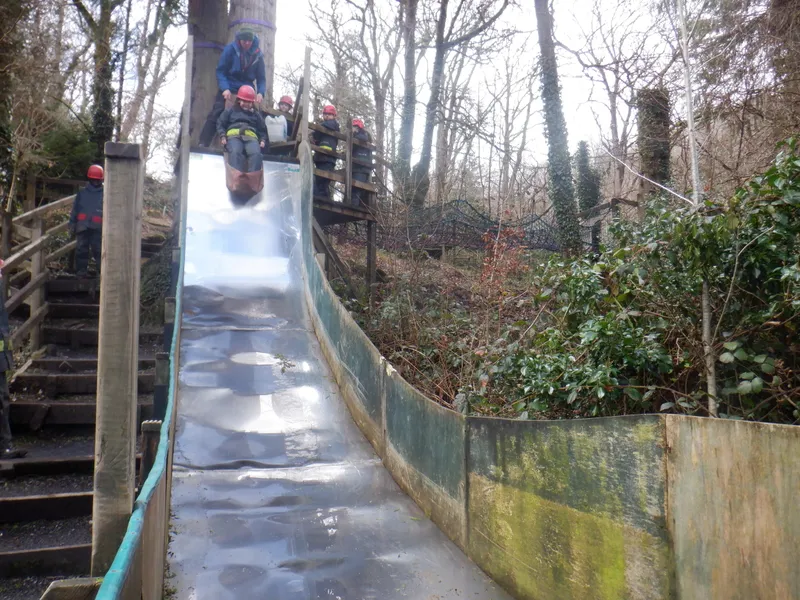 Gallery - created at 2025-02-26 20:19:52 - image 44