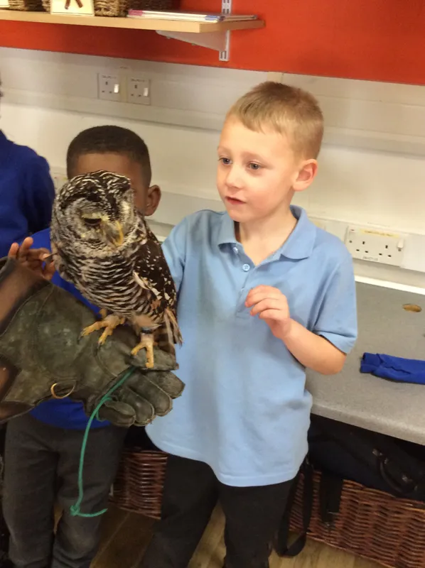 Gallery - created at 2024-02-26 17:15:57 - image 7 Gallery - created at 2024-02-26 17:15:57 - image 7