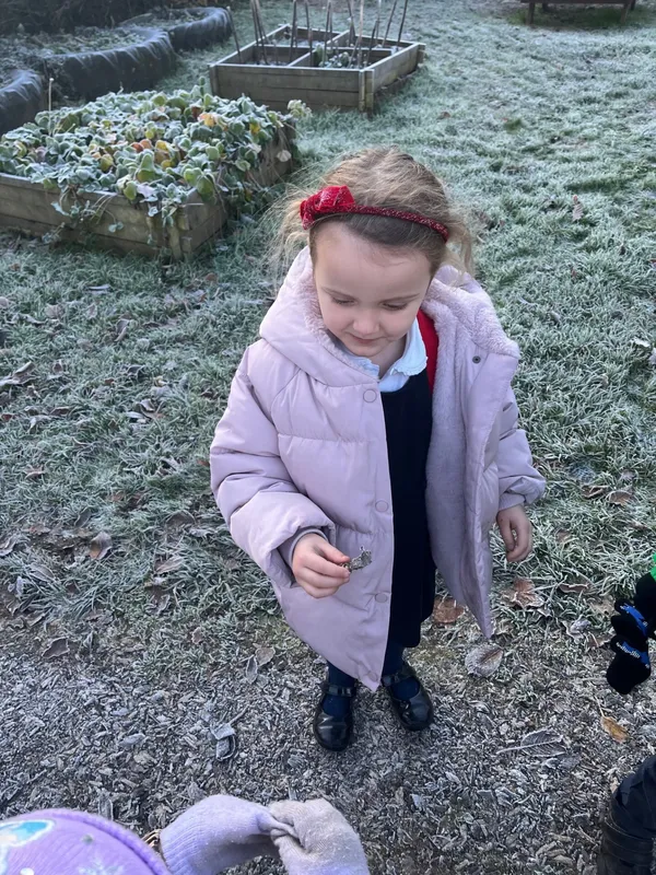 Gallery - created at 2023-12-01 11:42:27 - image 5