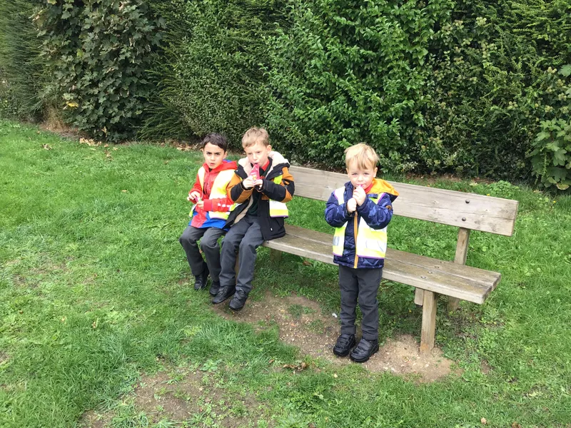 Local walk  - image 1