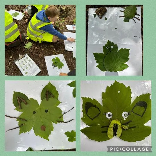 Summer 2024 - 19th June - Oaks - Leaf Identification and Leaf Art; Fire Lighting; Mud Painting and Natural Paintbrushes; Stick People (knot tying) - image 1 Summer 2024 - 19th June - Oaks - Leaf Identification and Leaf Art; Fire Lighting; Mud Painting and Natural Paintbrushes; Stick People (knot tying) - image 1