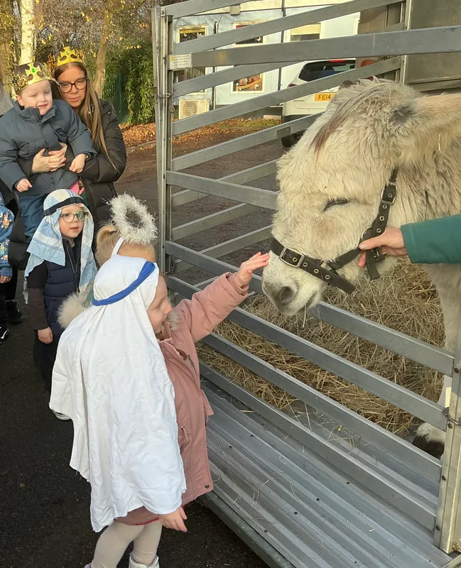 Stella farm on wheels Part 1 - image 12